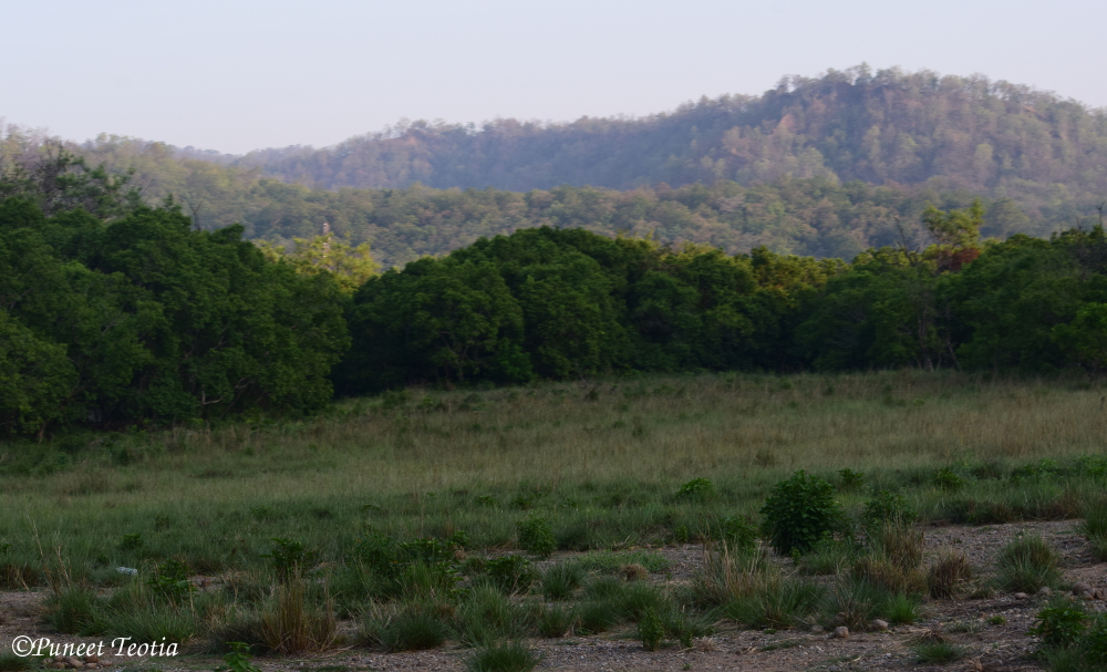Jim Corbett National Park