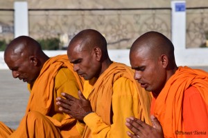 Monks Performing Buddhist Prayer