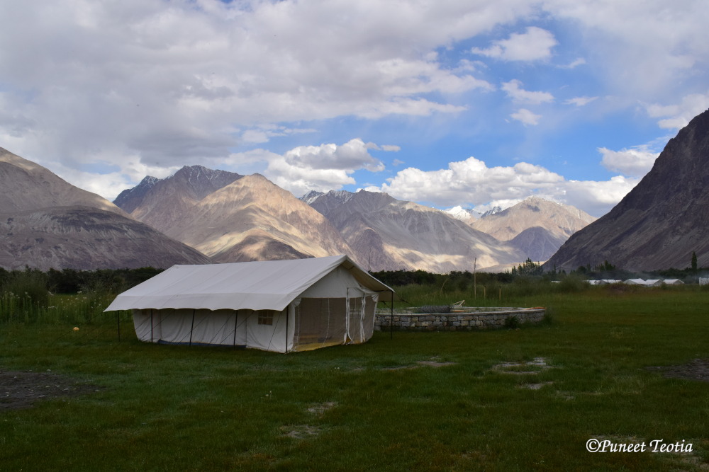 Tent At Desert Himalaya Camp