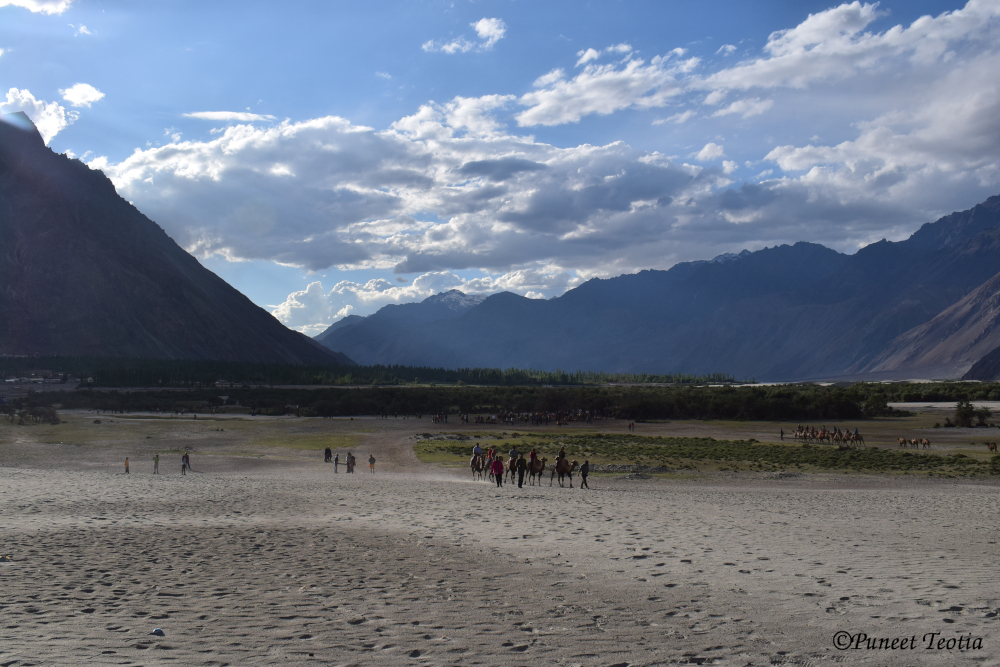 Sand Dunes at Nubra Valley